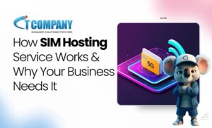 SIM Hosting