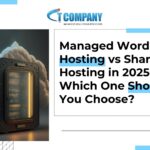 WordPress Hosting in USA