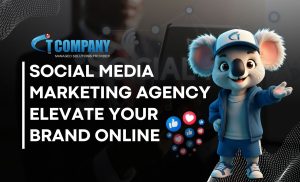 Social Media Marketing Agency